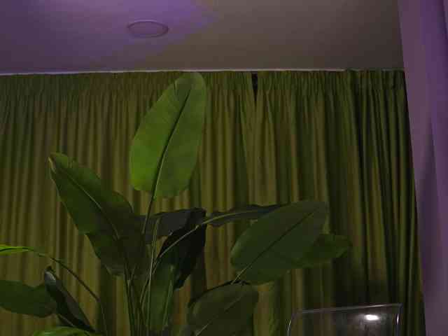 AvaSolis webcam