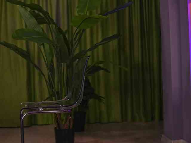 AvaSolis webcam