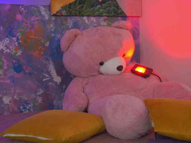 AvaSolis webcam