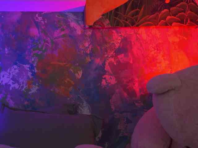 AvaSolis webcam