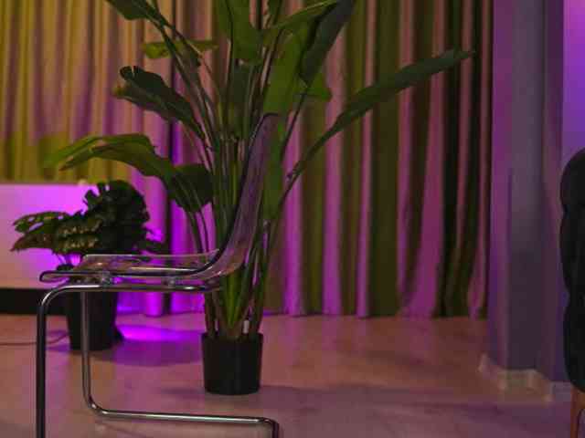avasolis's live room