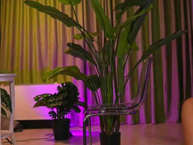 AvaSolis webcam