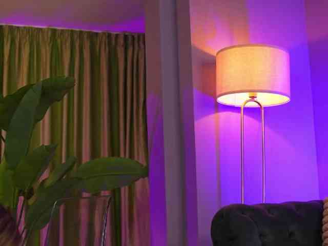 AvaSolis webcam
