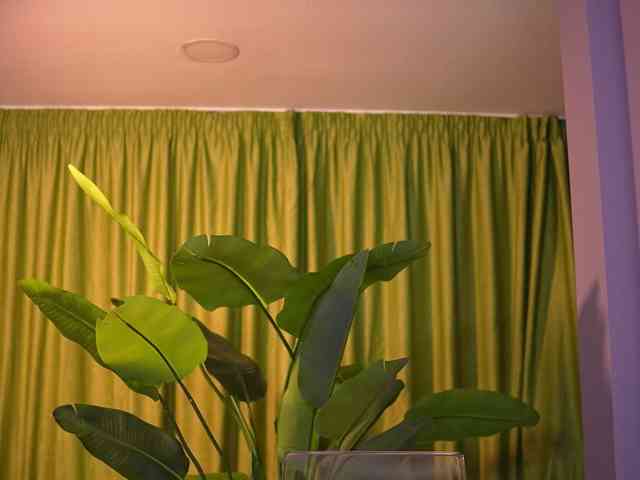 AvaSolis webcam
