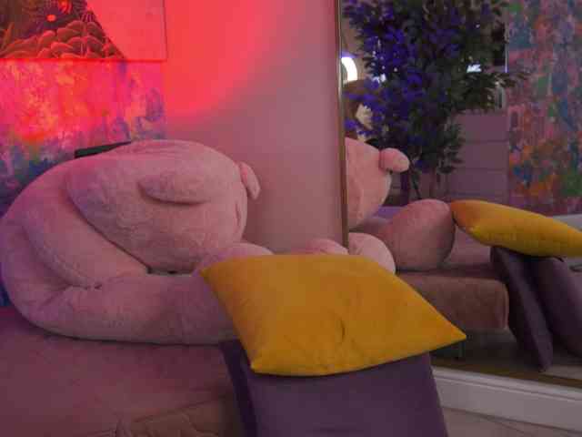 AvaSolis webcam