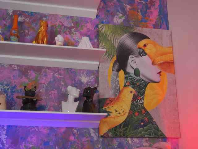 AvaSolis webcam