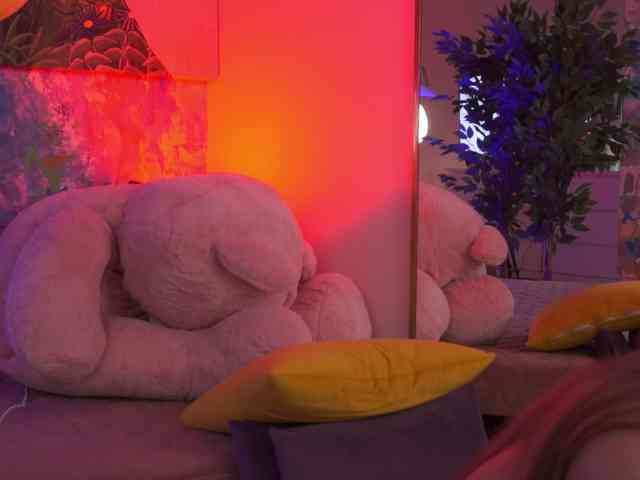 AvaSolis webcam