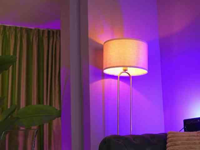 AvaSolis webcam