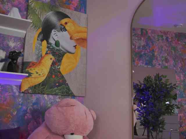 AvaSolis webcam