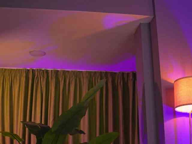 AvaSolis webcam