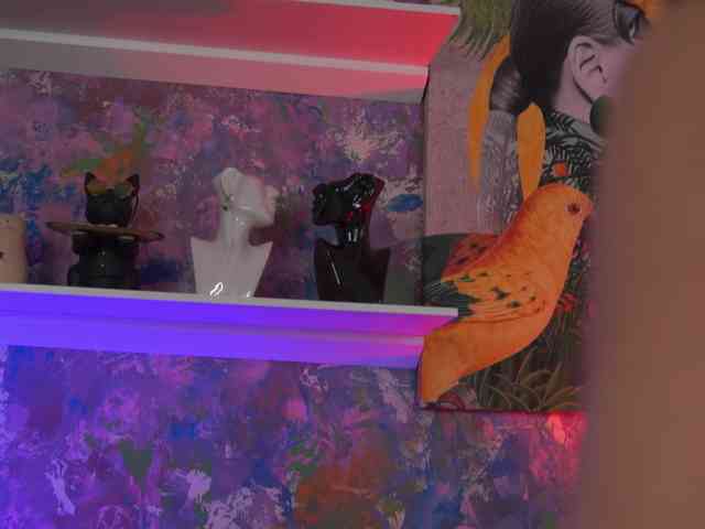 AvaSolis webcam