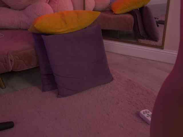 AvaSolis webcam