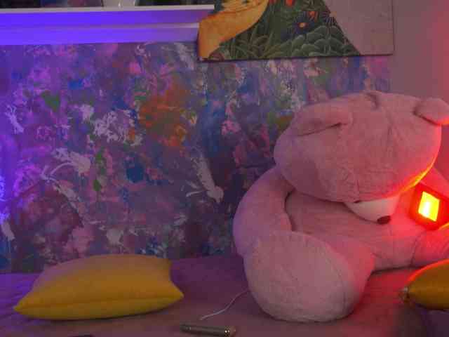 AvaSolis webcam