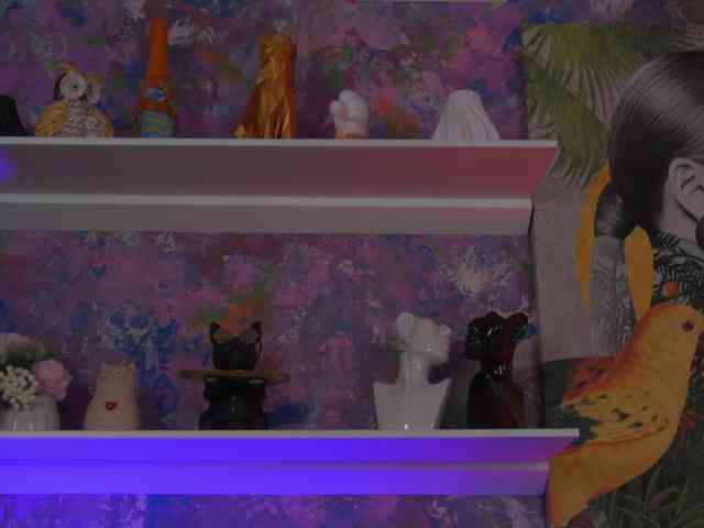 AvaSolis webcam