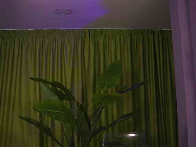 AvaSolis webcam