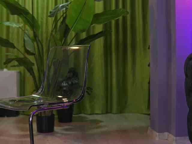 AvaSolis webcam