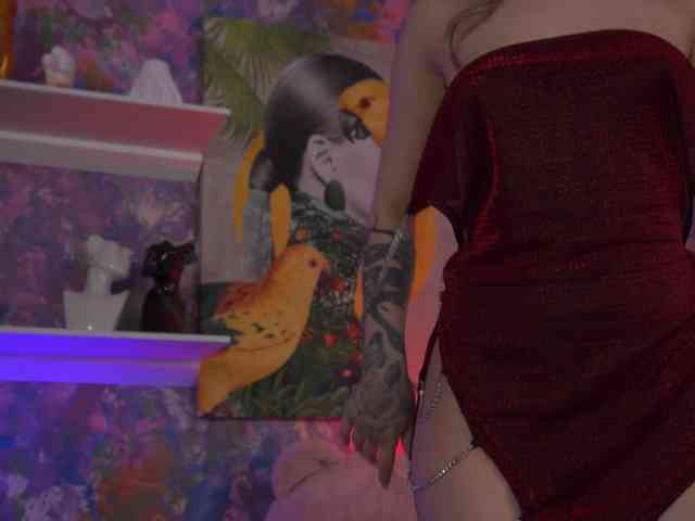 AvaSolis webcam