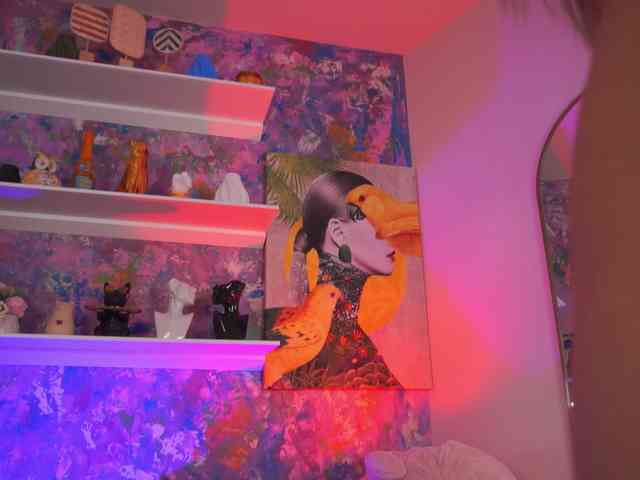 AvaSolis webcam