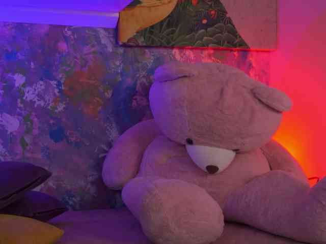 AvaSolis webcam