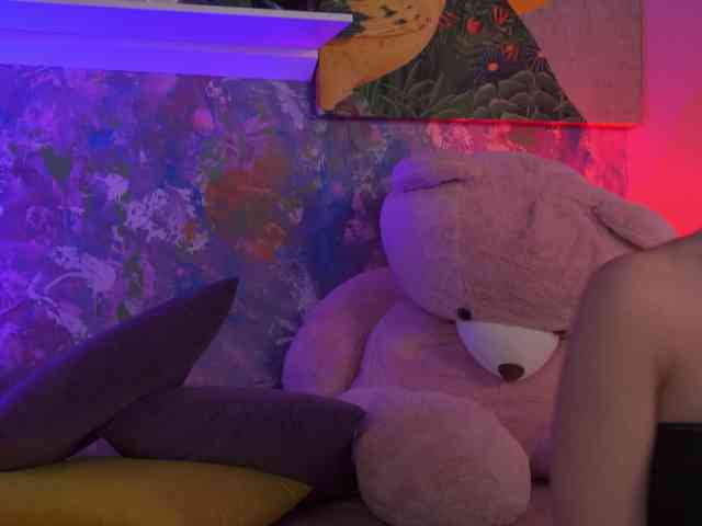AvaSolis webcam