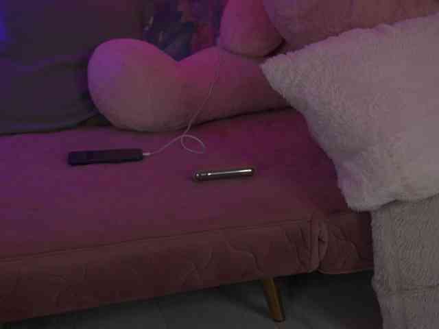 AvaSolis webcam