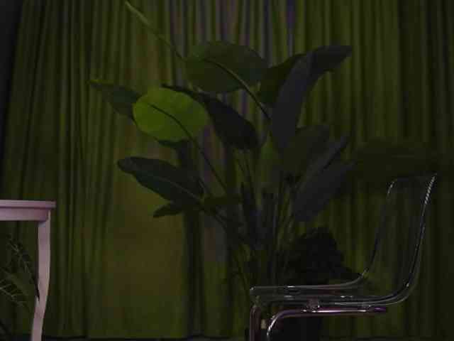 AvaSolis webcam