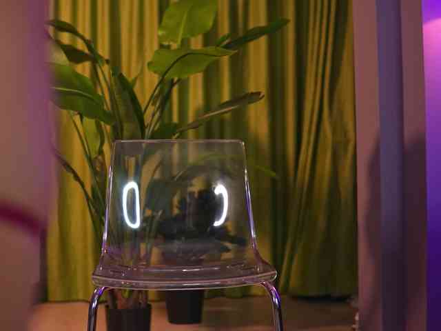 AvaSolis webcam