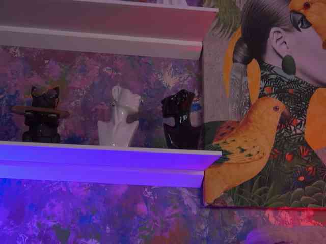 AvaSolis webcam