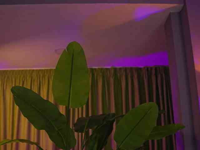AvaSolis webcam
