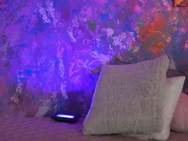 AvaSolis webcam