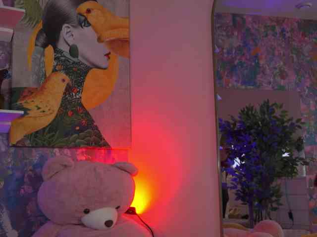 AvaSolis webcam