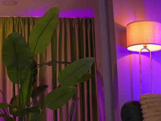 AvaSolis webcam