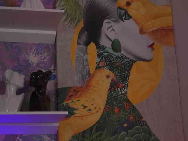 AvaSolis webcam