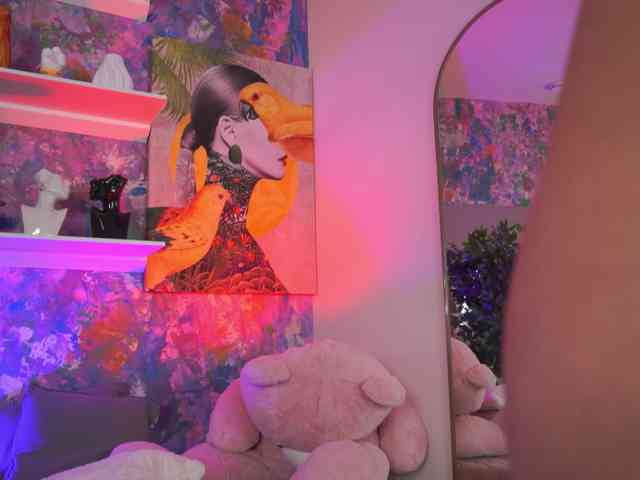 AvaSolis webcam