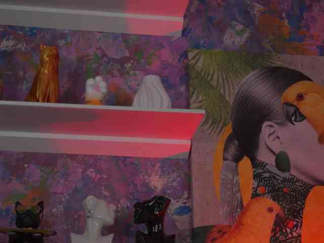 AvaSolis webcam