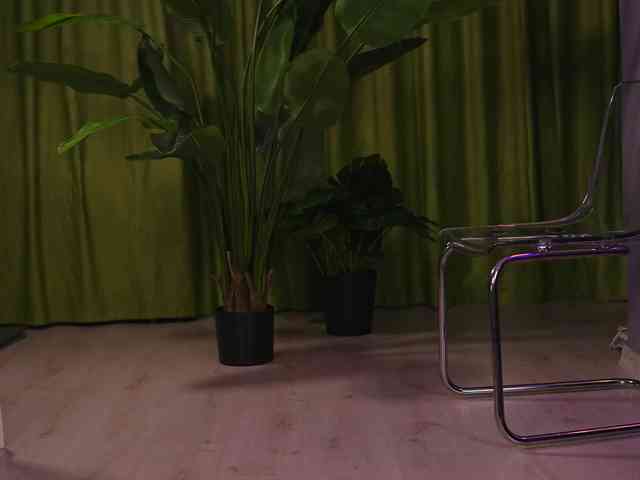 AvaSolis webcam