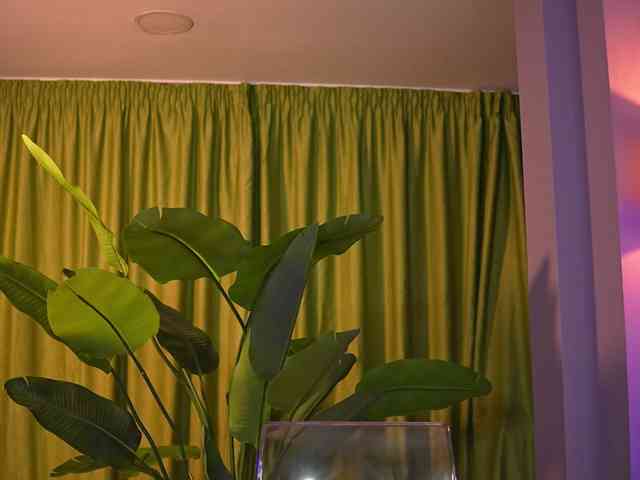 AvaSolis webcam