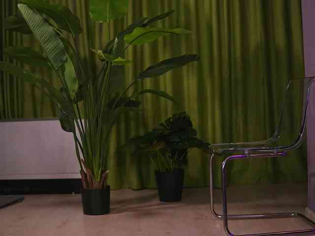AvaSolis webcam