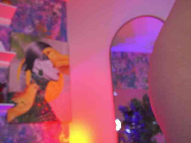 AvaSolis webcam