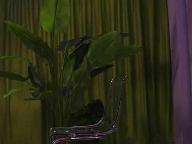 AvaSolis webcam