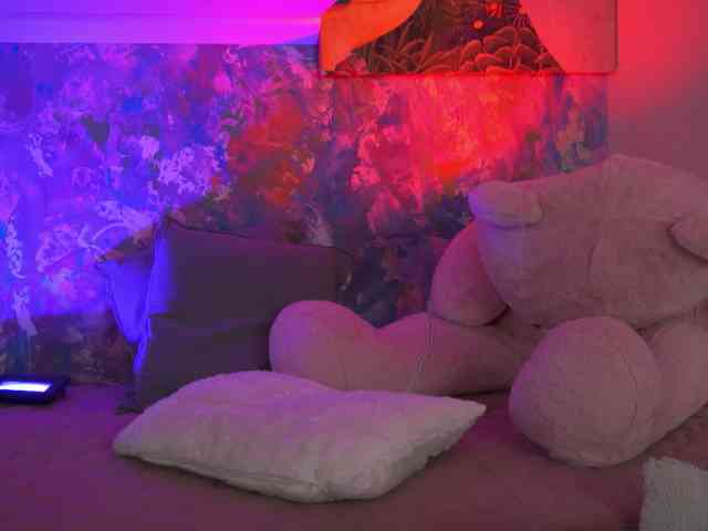 AvaSolis webcam