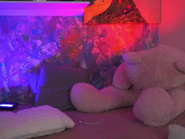 AvaSolis webcam
