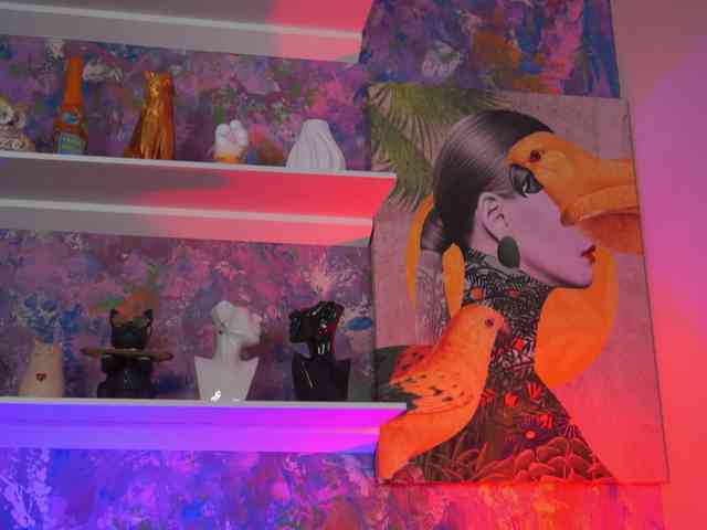 AvaSolis webcam