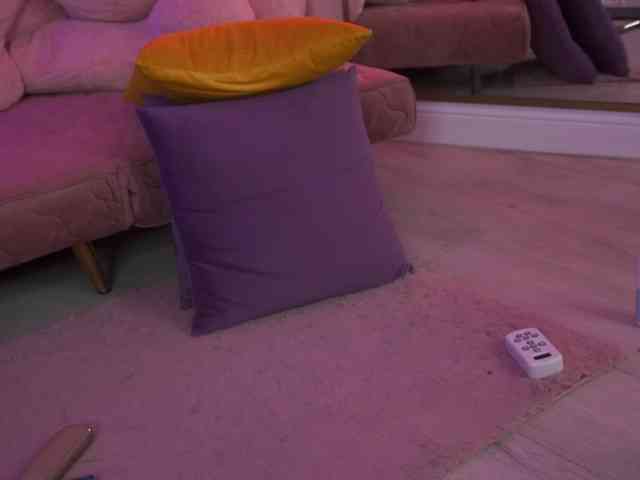 AvaSolis webcam