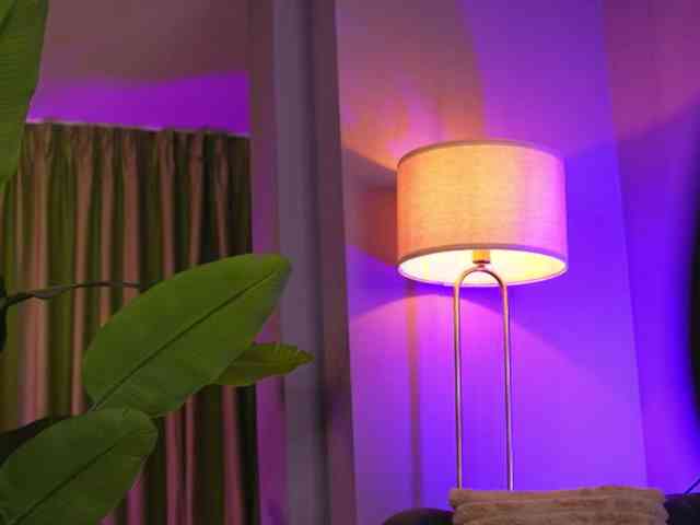 AvaSolis webcam