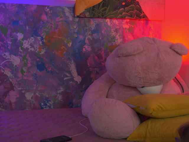 AvaSolis webcam