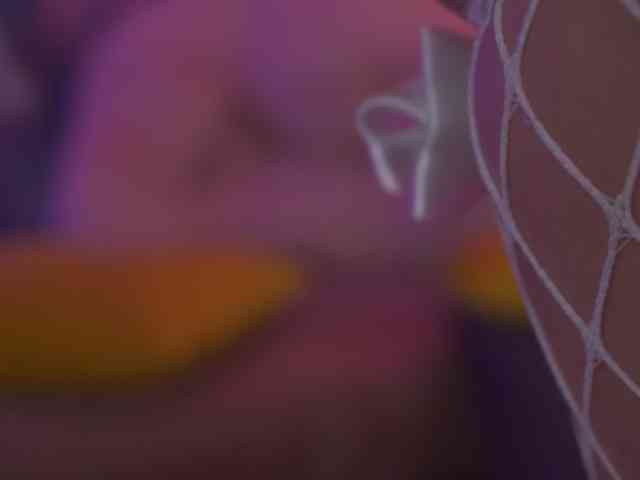 AvaSolis webcam
