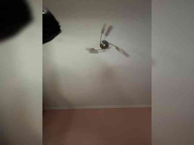Tanka25 webcam