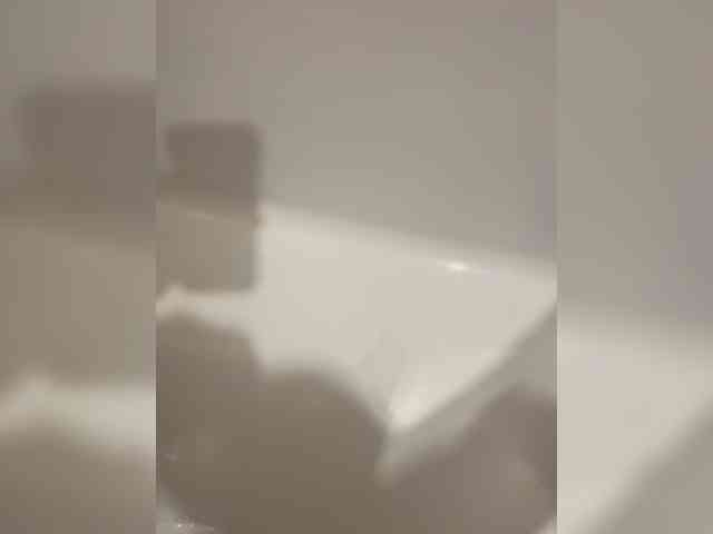 SmallBolt's Sexcam