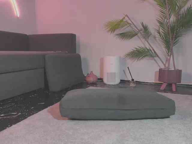 Monicami webcam